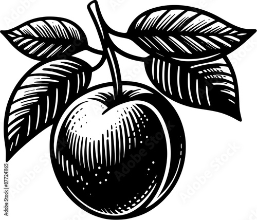 Green Plum Fruit icon 7