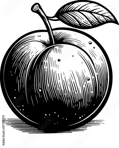 Green Plum Fruit icon 3