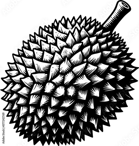 Durian Fruit icon 12