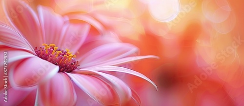 A deliberately blurred clos...