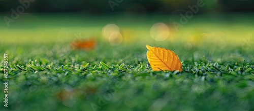 A tiny dried leaf rests on ...