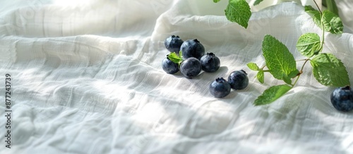 Morning light casts a soft ...