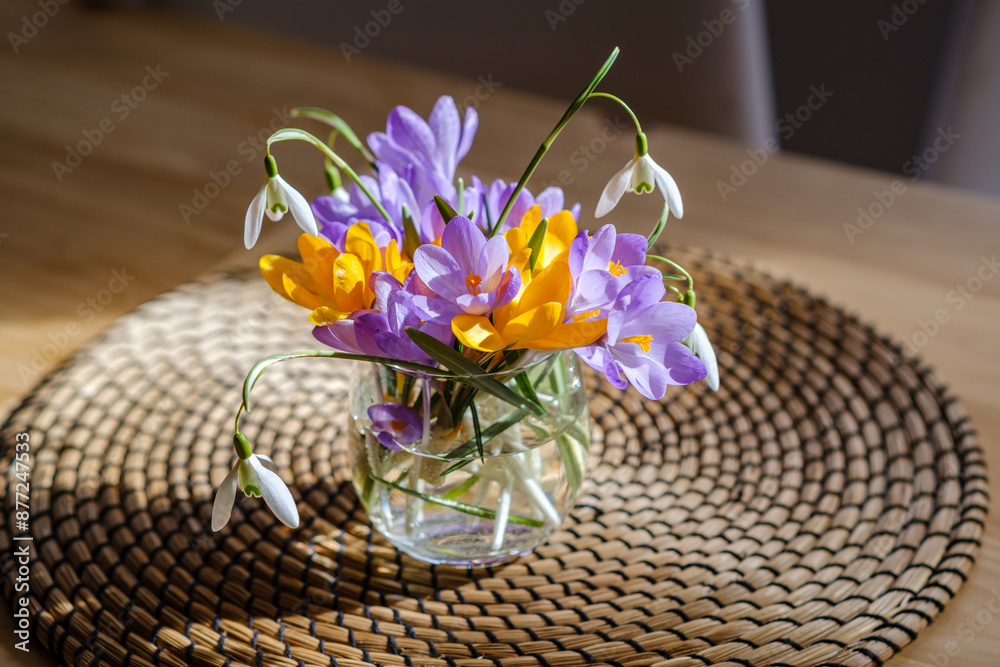 Bouquet of purple crocus in vase. Spring flowers in a vase.