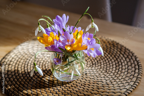 Obraz na płótnie Bouquet of purple crocus in vase. Spring flowers in a vase. w salonie
