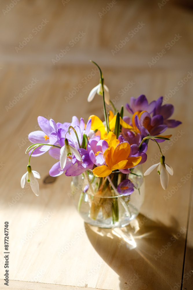 Bouquet of purple crocus in vase. Spring flowers in a vase.