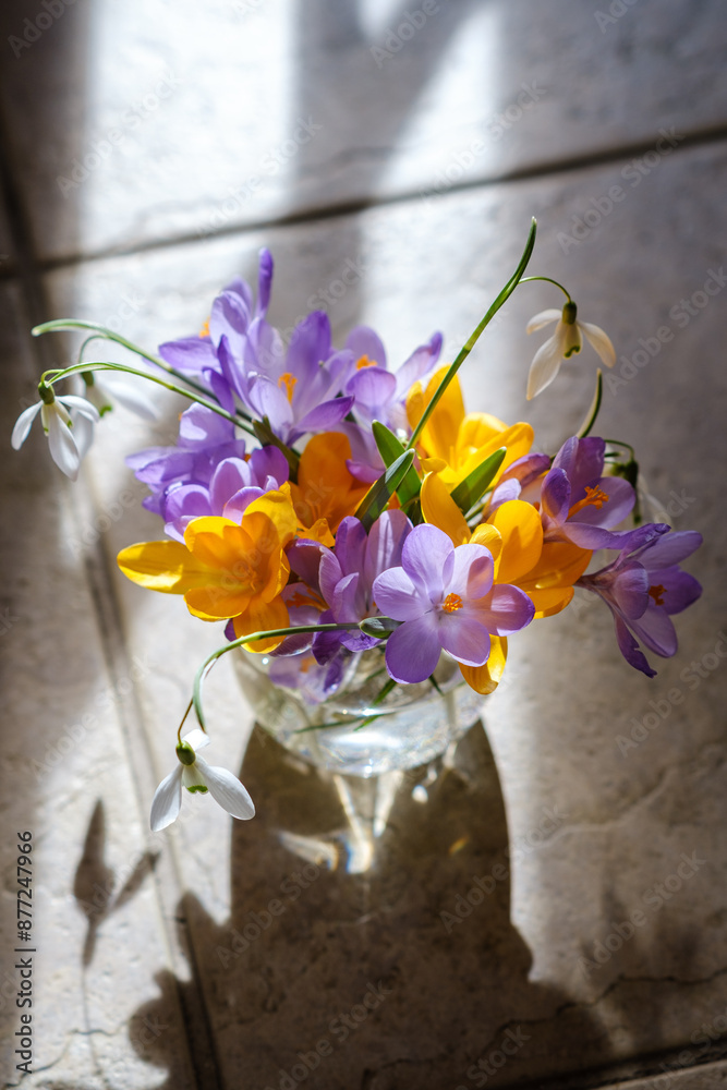 Bouquet of purple crocus in vase. Spring flowers in a vase.
