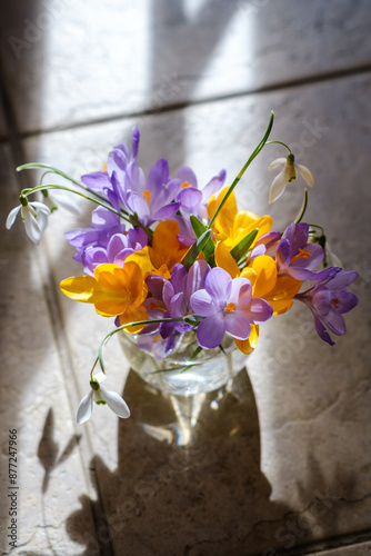 Obraz na płótnie Bouquet of purple crocus in vase. Spring flowers in a vase. w salonie
