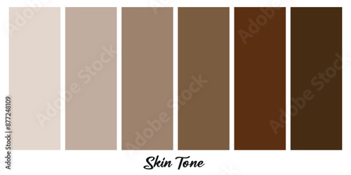 Creative vector illustration of human skin tone color palette set isolated on white background.
