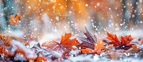 First snow falling on autum...