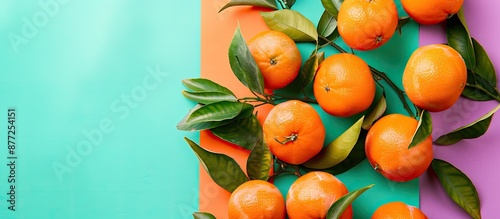Flat lay composition featur...