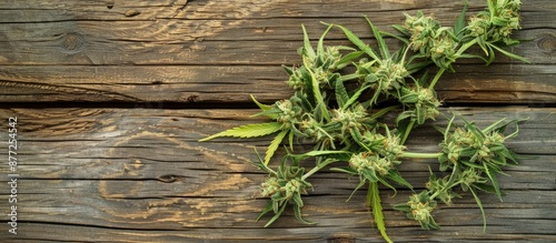 Fresh marijuana buds with C...
