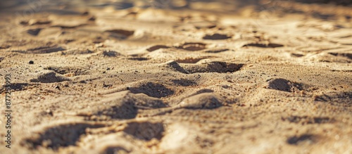 Focus on sandy ground with ...