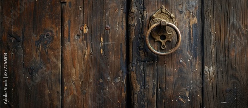 Wooden door with a knocker ...