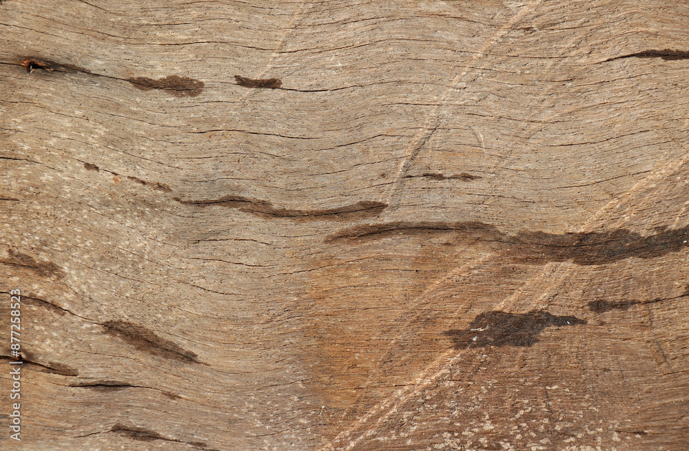 Fototapeta premium Old wooden texture for background that has natural cracks.