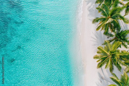 Aerial view of pristine beachfront, turquoise waters, white sandy shore, tropical palm trees.