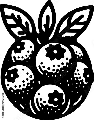Blueberry Fruit icon 12