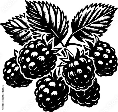 Boysenberry Fruit icon 2