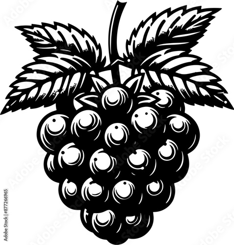 Boysenberry Fruit icon 6