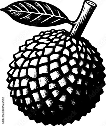 Breadfruit Fruit icon 11