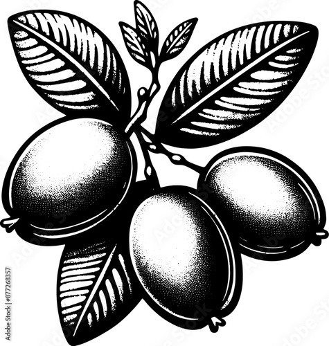 Camu Camu Fruit icon 1