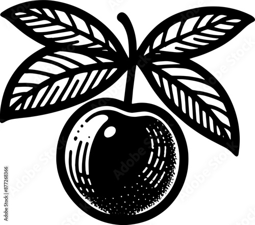 Camu Camu Fruit icon 2