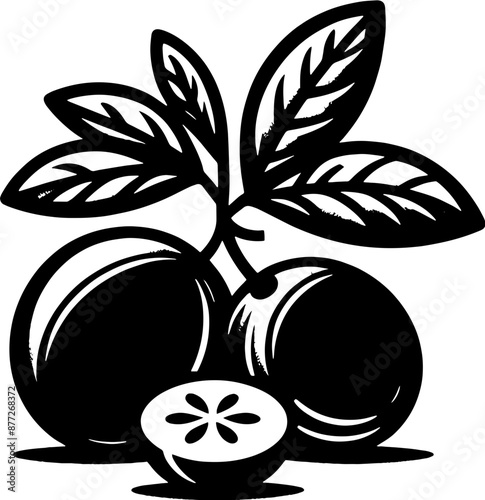 Camu Camu Fruit icon 4