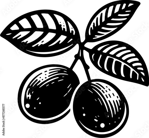 Camu Camu Fruit icon 5