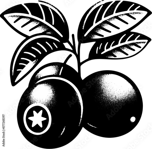 Camu Camu Fruit icon 8