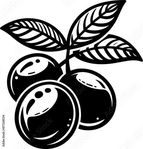 Camu Camu Fruit icon
