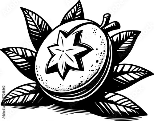 Canistel Eggfruit icon 3
