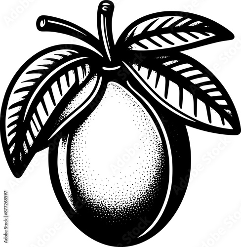 Canistel Eggfruit icon 8