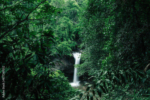 Fototapeta Naklejka Na Ścianę i Meble -  In the heart of the tropical jungle, a majestic waterfall cascades into the river, blending seamlessly with the lush outdoor beauty of nature's forest.