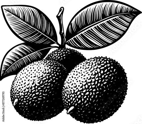 Chico Fruit icon 2