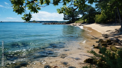 beach with palm trees