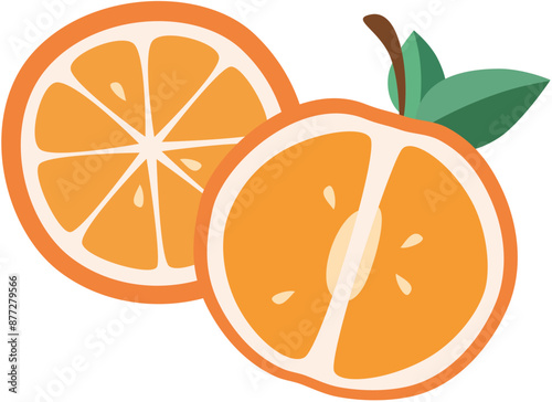 Two half oranges transparent vector