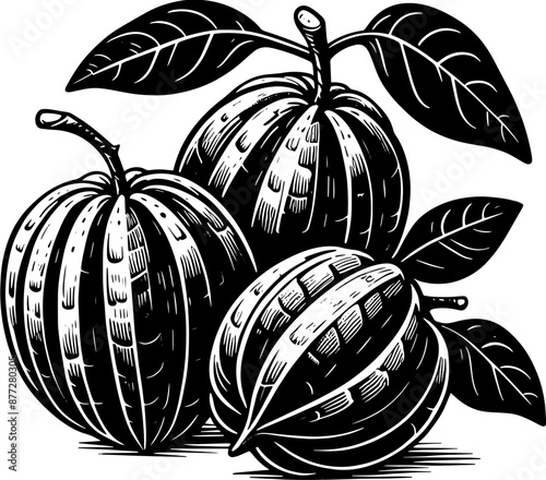 Abiu Fruit icon 7