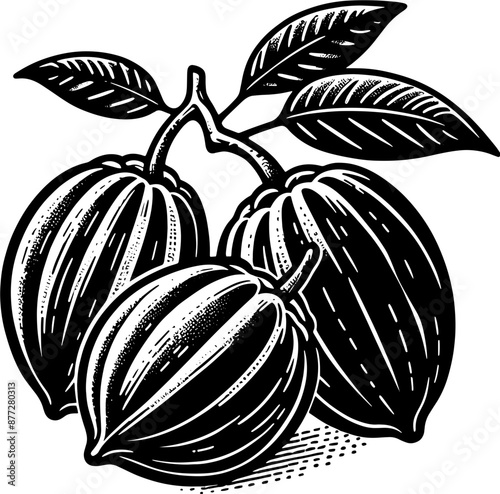 Abiu Fruit icon 8