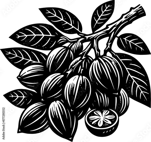 Abiu Fruit icon 14