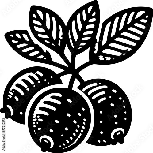 Acai Berry Fruit icon 1