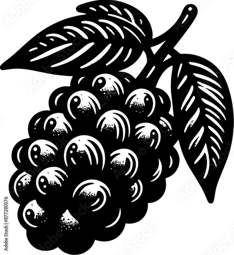 Acai Berry Fruit icon 2