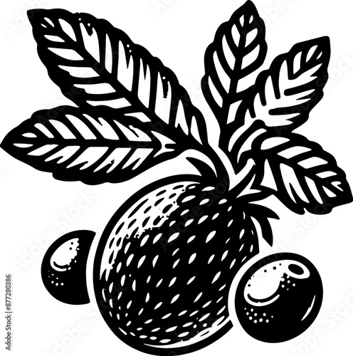 Acai Berry Fruit icon 3