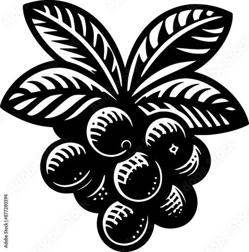 Acai Berry Fruit icon 5