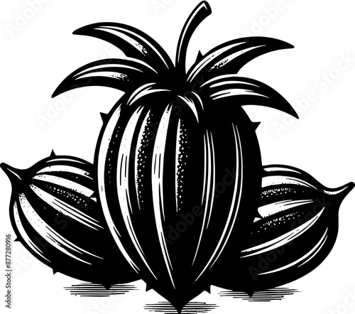 Achacha Fruit icon 5