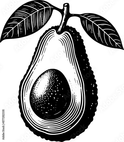 Avocado Fruit Icon 11