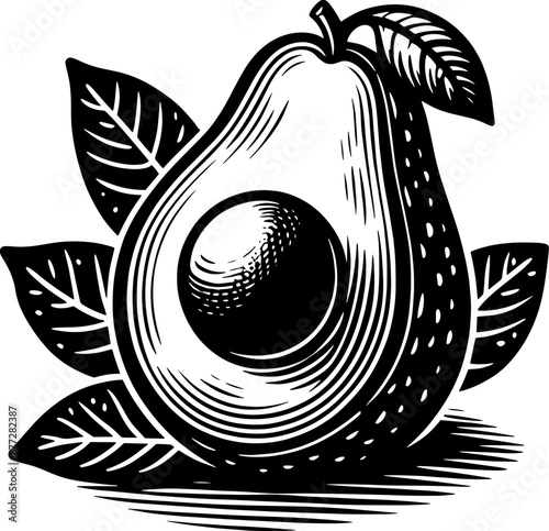 Avocado Fruit Icon 12