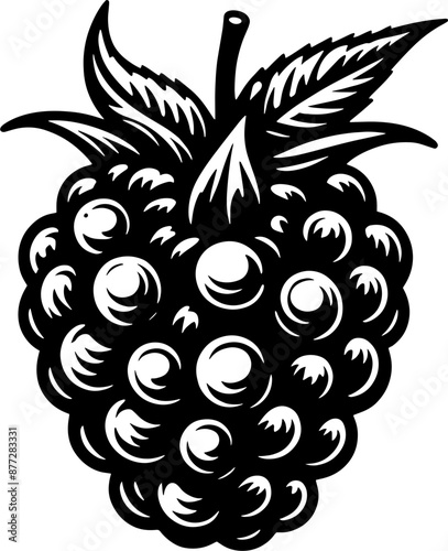 Black Raspberry Fruit icon 2