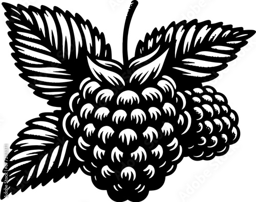 Black Raspberry Fruit icon 5