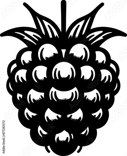 Black Raspberry Fruit icon 11
