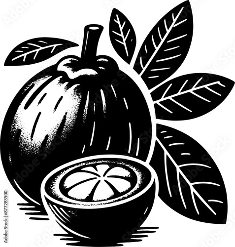Black Sapote Fruit icon 2