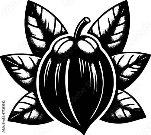 Black Sapote Fruit icon 4